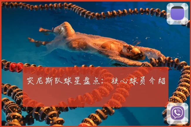 突尼斯队球星盘点:核心球员介绍