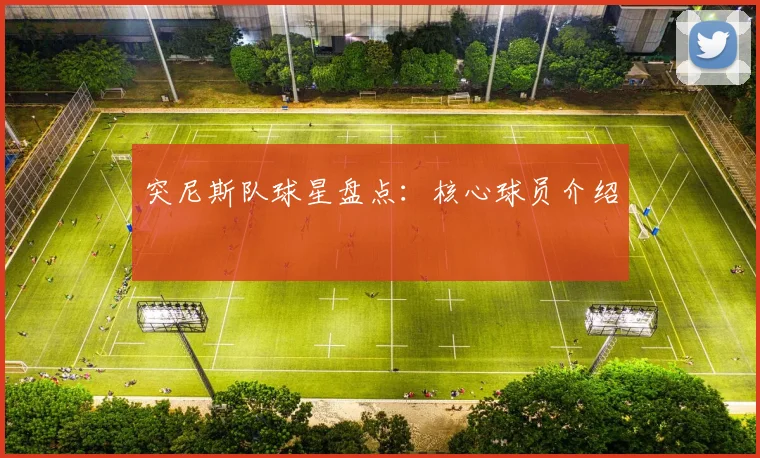 突尼斯队球星盘点:核心球员介绍